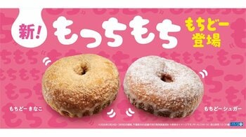 ローソンに圧倒的な“もっちもち”新食感ドーナツ「もちどー」が登場！かむほどに心地よい弾力が味わえる2つのフレーバーは2026年10月20日より発売