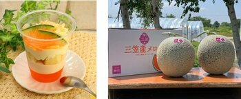 【イオンリテール北海道フェア】“地域の恵み”でみんなを笑顔に。自然に育まれたイオン北海道三笠農場の“三笠産メロン”を使用したパフェが登場！９月２６日（金）から期間限定にて販売拡大