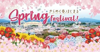 きらめく春、はじまる！5,000本の桜が咲き誇る御殿場高原 時之栖で春を感じるSpring Festival 2026開催！