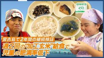 【学校給食による肥満改善】週2回の「加工玄米」摂取で児童の肥満率が33.2%から24.3%へ低下！医食同源生薬研究財団が宮古島市での検証結果を公表