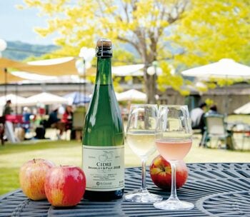 大自然の中でシードル片手にキャンバスに向かう。St.CousairとSAKE ARTが初めてのコラボ、長野の新しい体験型観光コンテンツを発信！