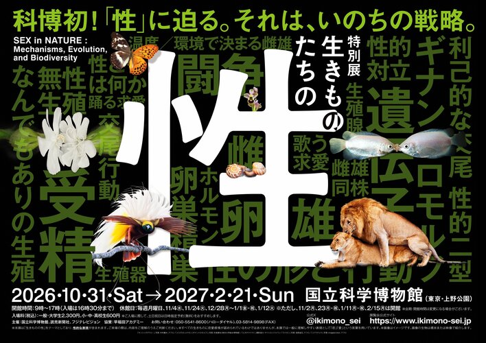 科博初の「性」がテーマ！特別展「生きものたちの性」開催決定　ラランドがアンバサダーに就任！「はじめまして松尾です」とのスペシャルコラボも