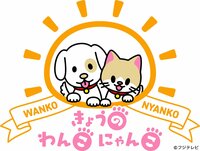 『きょうのわんこにゃんこ in お台場』開催決定！『めざましテレビ』の人気コーナーから愛犬家・愛猫家向けのリアルイベントが誕生