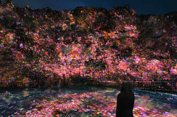 『チームラボ 養老渓谷』開催