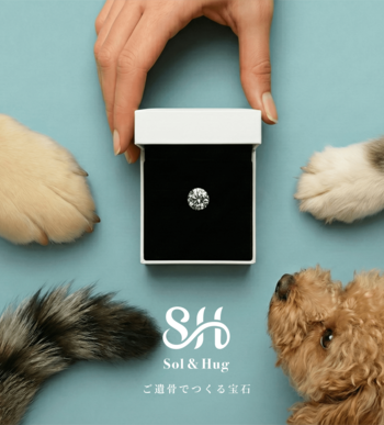 100万円超の高額帯が主流だったご遺骨ジュエリーを“3分の1価格”で手が届く選択肢に