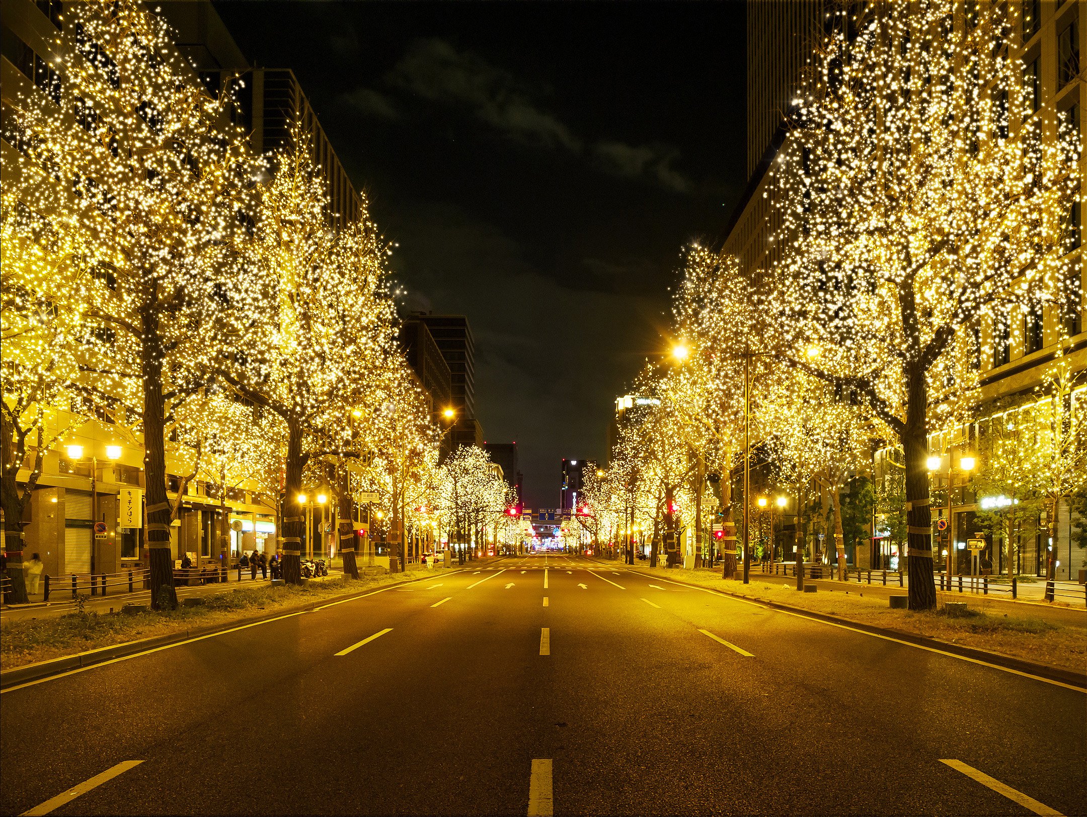 歳時饗宴【秋】、【冬】 秋保贅沢セット【自社畑ぶどう100％ 赤白2本】（赤2023／白2024