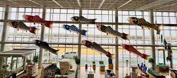 【加須市】「🎏こいのぼり水族館」が加須未来館に出現！4月4日・5日には職人と作る本格「こいのぼり作り体験」も開催