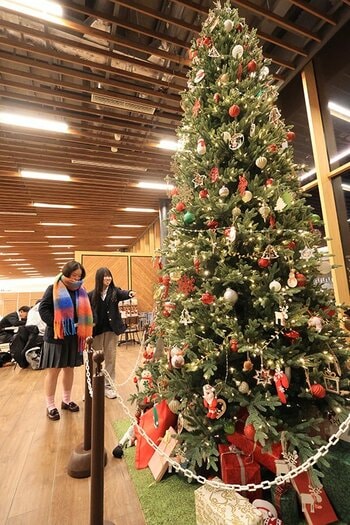 高槻市の安満遺跡公園パークセンターに365センチメートルのクリスマスツリーが展示中