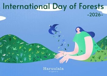 3月21日の国際森林デーにあわせ、Haruulala organicが「こどもたちに贈る、未来の森」植林活動を実施【3月11日～24日】