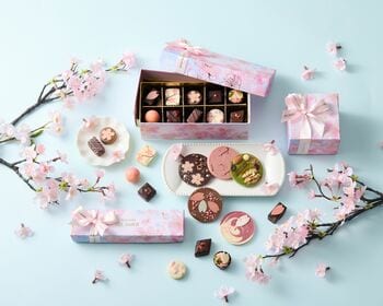 桜が香る、日本の春ショコラ。ベルアメール「Sakura Collection 2026」