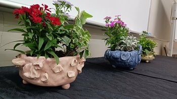 子どもが主役のホンモノ体験！舞鶴市アートスタート事業「Art Start～植えるArt～（第1期）」参加親子を募集