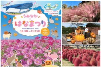 ～100万本のコスモスにハロウィン、秋の期間限定メニューも～ 「うみなか＊はなまつり2026」 開催！【国営海の中道海浜公園】