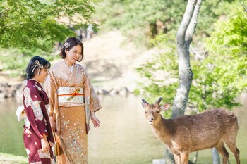 宿泊×文化体験　コンフィーステイが地域事業者と連携し奈良体験企画を構想
