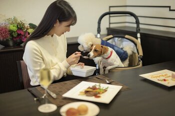 「泊まらなくても、愛犬とフレンチ。」湯河原の隠れ家ドッグリゾートが、ランチのみの利用をついに解禁。2/1より金土日限定。屋内レストランで味わう、愛犬と優雅な日帰り旅。