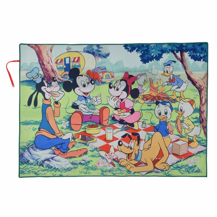 【希少！！】 レトロな色合いが可愛い！ディズニーストアから春のレジャー ぬいぐるみ