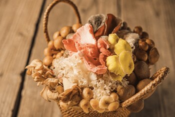 【新店情報/神戸・三宮】6/23オープン「裏の山の木の子 三宮店」～カラダが喜ぶ日式火鍋～関西エリア2店舗目をオープン