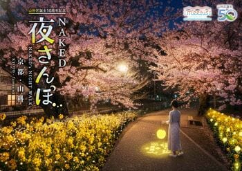 京都市「meetus山科-醍醐」連携事業として、山科疏水公園初の夜桜ライトアップを実施『山科区誕生50周年記念NAKED 夜さんぽ ―京都・山科―』開催決定