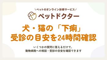 ペットのオンライン診療「ペットドクター」、受診判断を支援する「症状チェッカー」の検証提供を開始