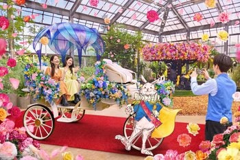 関東最大級のバラのテーマパーク年に1度の「香りのピークシーズン」到来＆新作のバラを発表　秋イベント『白うさぎのロイヤル インビテーション』開催