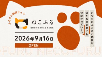 ネコリパートナーズとトラストバンク、猫好きのためのふるさと納税プラットフォーム「ねこふる」をオープン