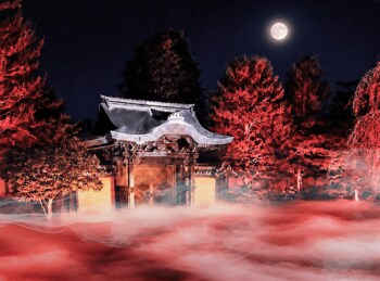 秀吉ゆかりの京都・高台寺で夜間特別拝観「デジタル能舞 in 高台寺」開催