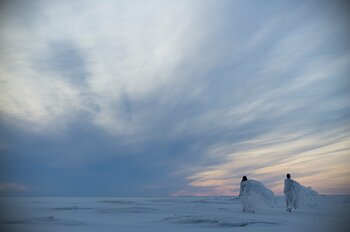 中里唯馬個展「GLACIER」がフィンランドOulu Art Museumで開幕