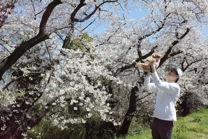 1児の父・吉田栄作(57) 家族でお花見を満喫！優しい笑顔で愛犬を