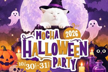 猫カフェMOCHAがハロウィン一色に！仮装にゃんずや限定メニューも登場 ！「MOCHA Halloween Party 2026」