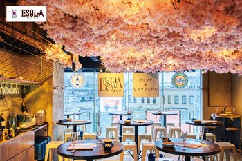 ワインビュッフェESOLAで3月3日（火）より『お花見ワインバル』がスタート