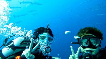 髙橋海人の新企画が始動！「とても頼もしかった」桐山照史とダイビングに挑戦