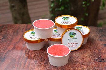 「育てる」から「届ける」へ。栃木県さくら市のセブンハンドレッドファーム、加工品第1弾となる「ストロベリージェラート」を発売。
