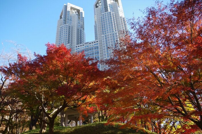 新宿中央公園　秋の紅葉散歩