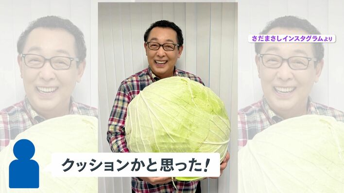 キャベツ　20玉　13 巨大だった2ドルキャベツ(トレーダージョーズ) | アーバインで