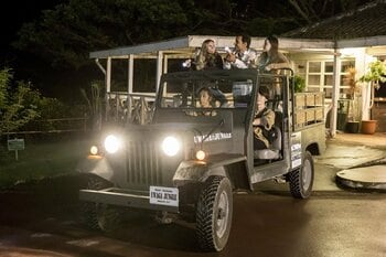 【自然が灯す光に気づく夜】沖縄本島南部、本物のジャングルから見上げる冬の夜空！【閉園後のテーマパーク内のジャングルを歩こう！】