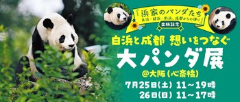 【2日間限定】写真集『浜家のパンダたち――良浜・結浜・彩浜、成都からの便り』出版記念「白浜と成都　想いをつなぐ大パンダ展」開催が決定！！