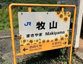 今年も黄色いじゅうたんが畑一面を覆います！牧山駅から徒歩約５分！牟佐大久保ひまわり畑でイベント開催！