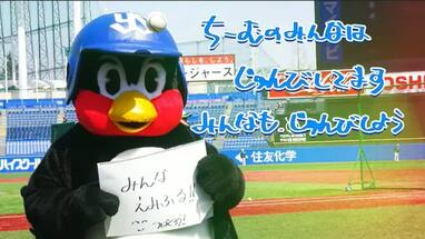 開幕を待ちわびて!マスク姿のつば九郎から元気が出るメッセージ 開幕を待ちわびて!マスク姿のつば九郎から元気が出るメッセージ