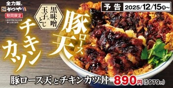 2025年ラストの全力飯。濃厚黒味噌ダレが絡む「豚ロース天とチキンカツ丼」かつやに新登場！