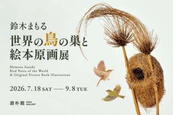 【夏休み特別企画】鈴木まもる『世界の鳥の巣と絵本原画展』7月18日より遊朴館 HIDA GALLERYにて開催