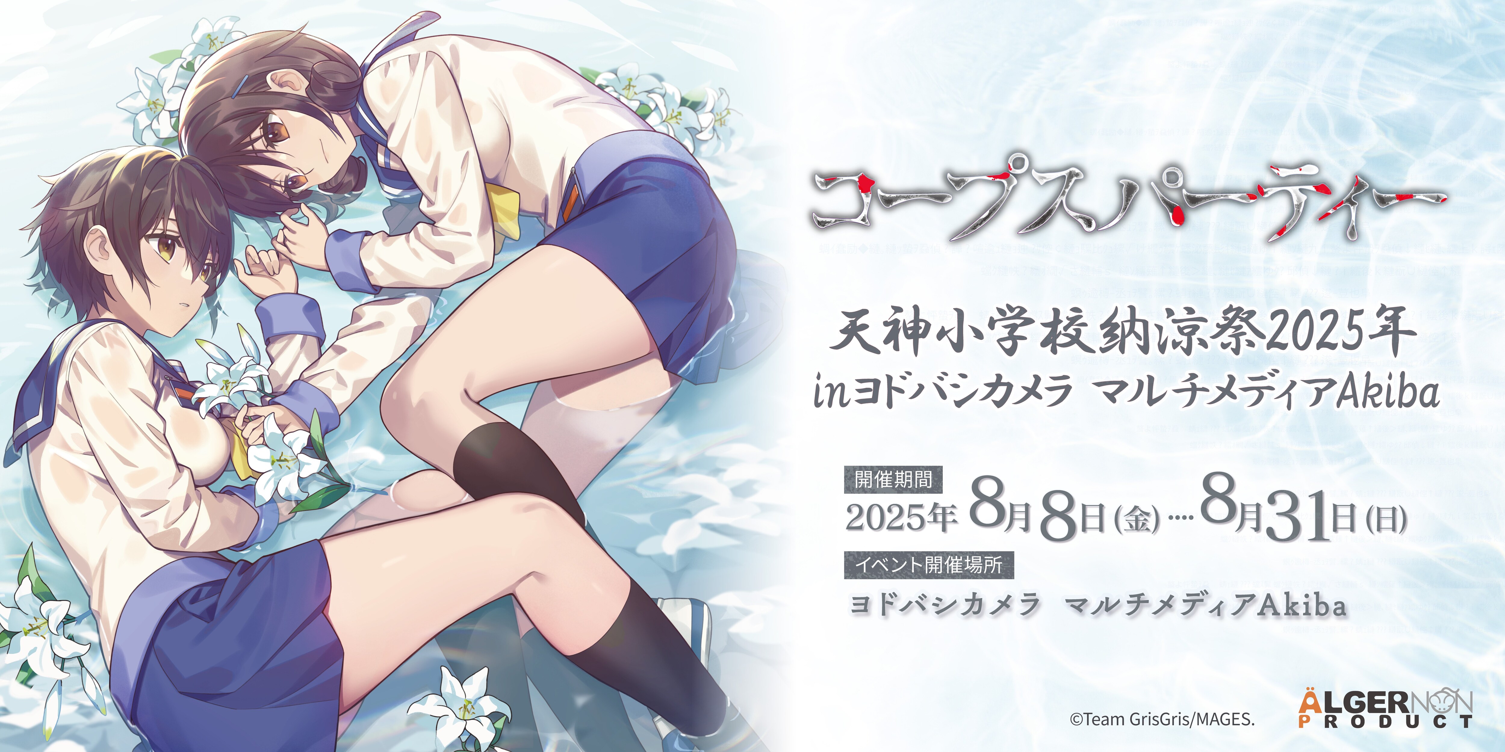 img_87ff0d4c493ab01e54b6b82d95