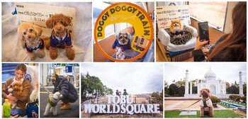 ケージレスで愛犬と旅行！「スカイツリートレイン」貸切ツアーを実施