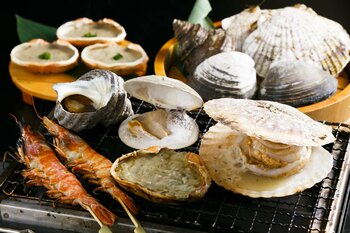 東京グルメを満喫する「Tokyo City Pass」に磯丸水産が参画！3月14日（土）サービス開始