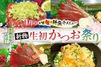 2026年4月限定「新物 生初かつお祭り」開催。 江戸っ子が愛した春の贅沢を、現代の鮮度で。豊洲市場直送・店内で捌きたて！