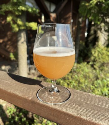 【よなよなビアワークス】ワークスエール第43弾　まるでフルーツシェイク、とろっと新感覚の一杯