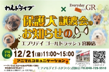 エブリデイゴールドラッシュ宮原店×わんドライブ　2021年2月から「保護猫譲渡会」を続けてきているエブリデイゴールドラッシュ宮原店が、今回初めて2025年12月21日（日）に「保護犬譲渡会」を開催！！