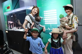【7月11日リニューアル】2階「ELEMENTS 精霊の森」新しい体験もスタート！【神戸港の水族館アトア】