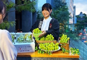 【OMO5熊本】熊本市と連携し、被災した物産館の宇城市産シャインマスカットの販売と宿泊者への提供を開始