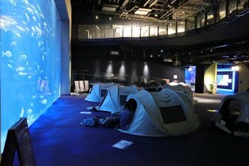 四国水族館でのキャンプ体験！夜の水族館『Nightscape Camp2026秋』を開催します