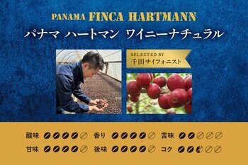 【椿屋珈琲】日本一の千田サイフォニストがセレクトした特別な一杯
