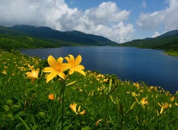 トレッキング好きも大満足の天空の湖へご案内します　休暇村嬬恋鹿沢、毎年大好評の「野反湖トレッキングツアー」付きの宿泊プランを日にち限定で販売